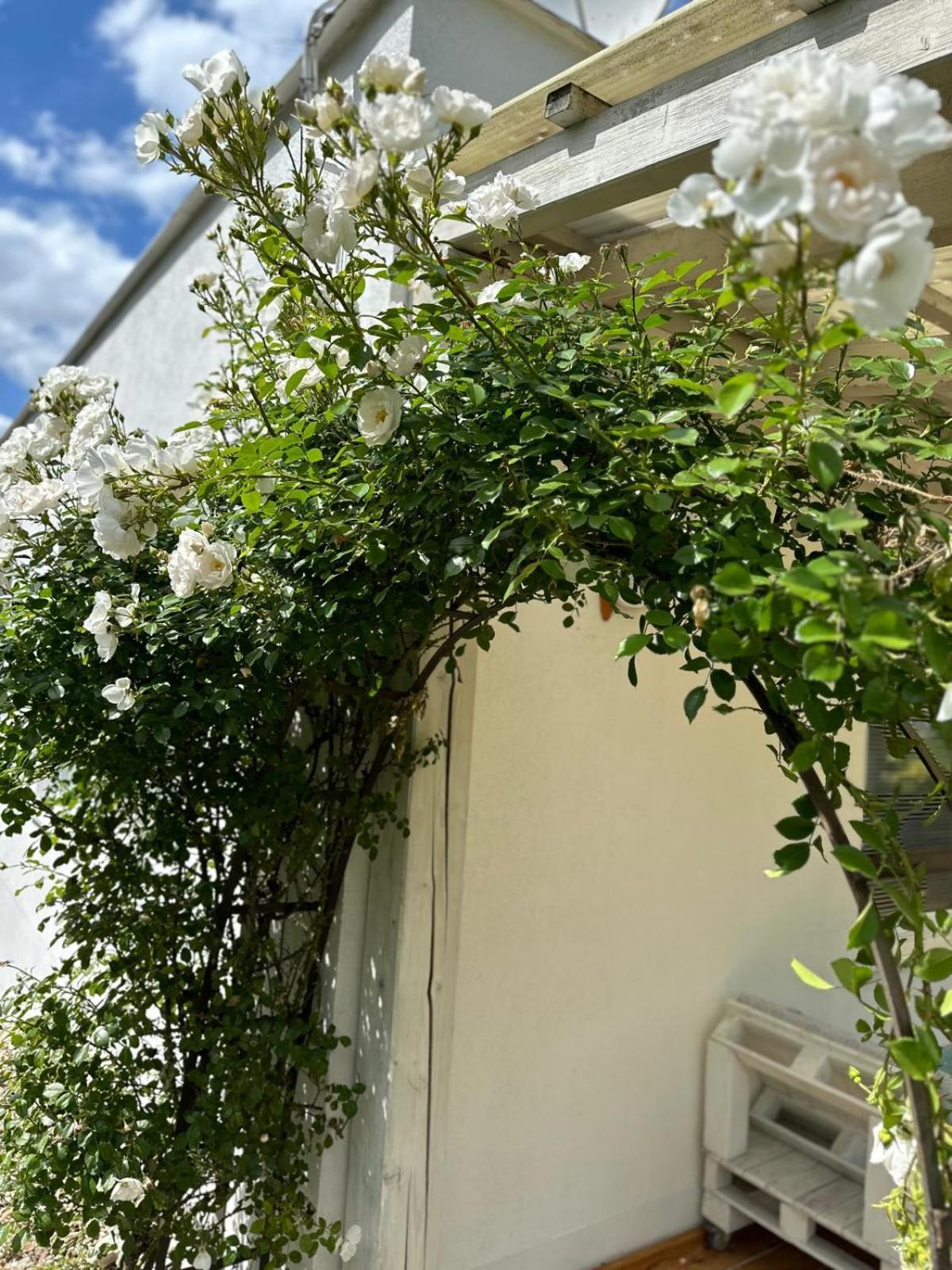 Apartman Lipa Mikulov Luaran gambar
